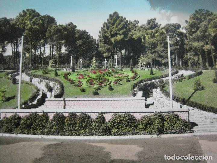 Postcards: ZARAGOZA-JARDINES DEL INVIERNO-ED&middot;SICILIA-185-POSTAL ANTIGUA-(69.244)