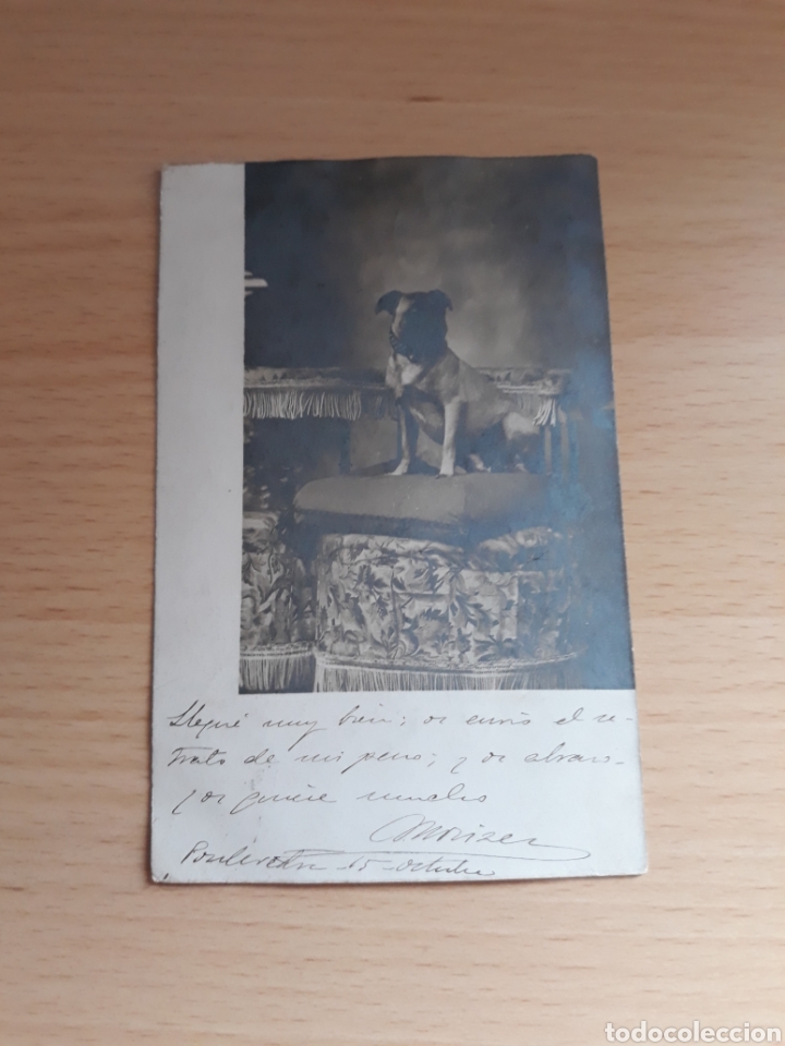 Postcards: Tarjeta postal circulada con sello Alfonso Xlll