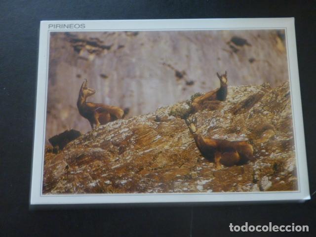 Postales: PIRINEOS HUESCA - Foto 1