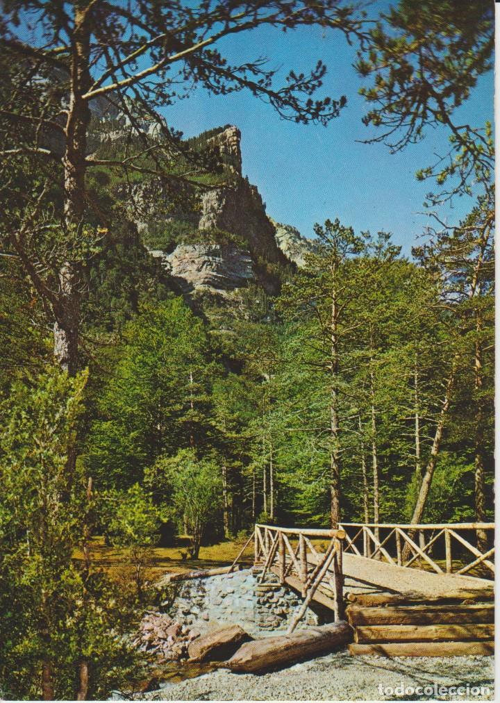 Postales: (44) PARQUE NACIONAL DE ORDESA. PUENTE SOBRE EL RIO ARAZAS ... SIN CIRCULAR