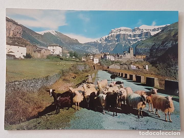 Postales: TORLA HUESCA VISTA POSTAL - Foto 1