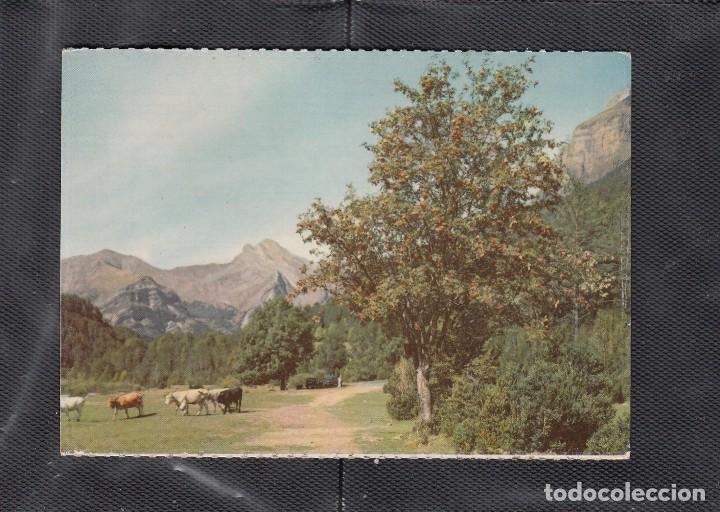 Postales: 309. PARQUE NACIONAL DE ORDESA