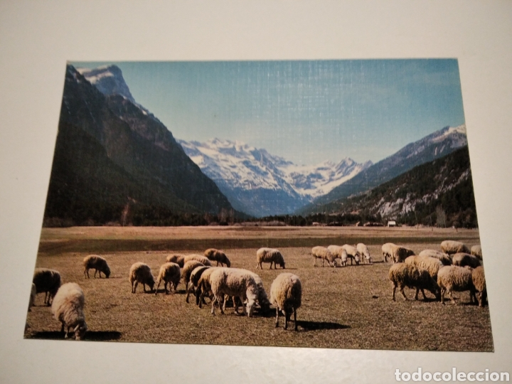 Postales: Postal Bielsa - Foto 1