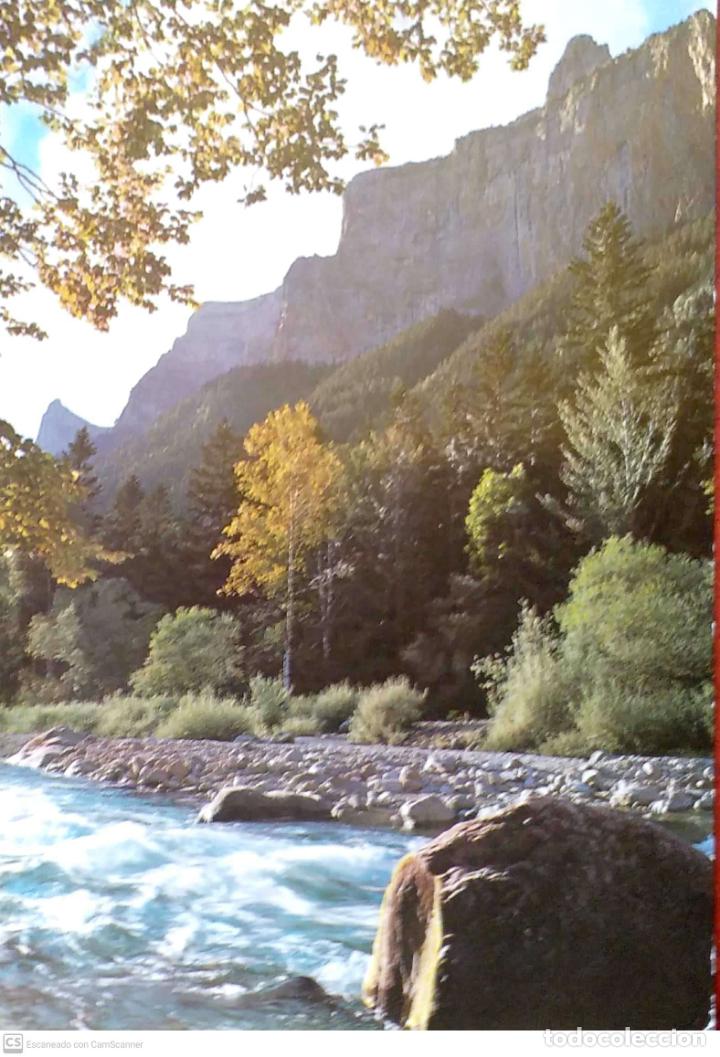 Postales: Parque Nacional de Ordesa. 710 R&iacute;o Arazas. Foto Pe&ntilde;arroya. Usada con sello. Color