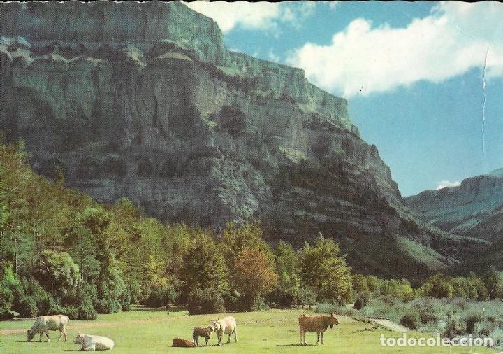 Postales: Postal Pirineos aragoneses num. 313 Parque nacional de Ordesa, 1961