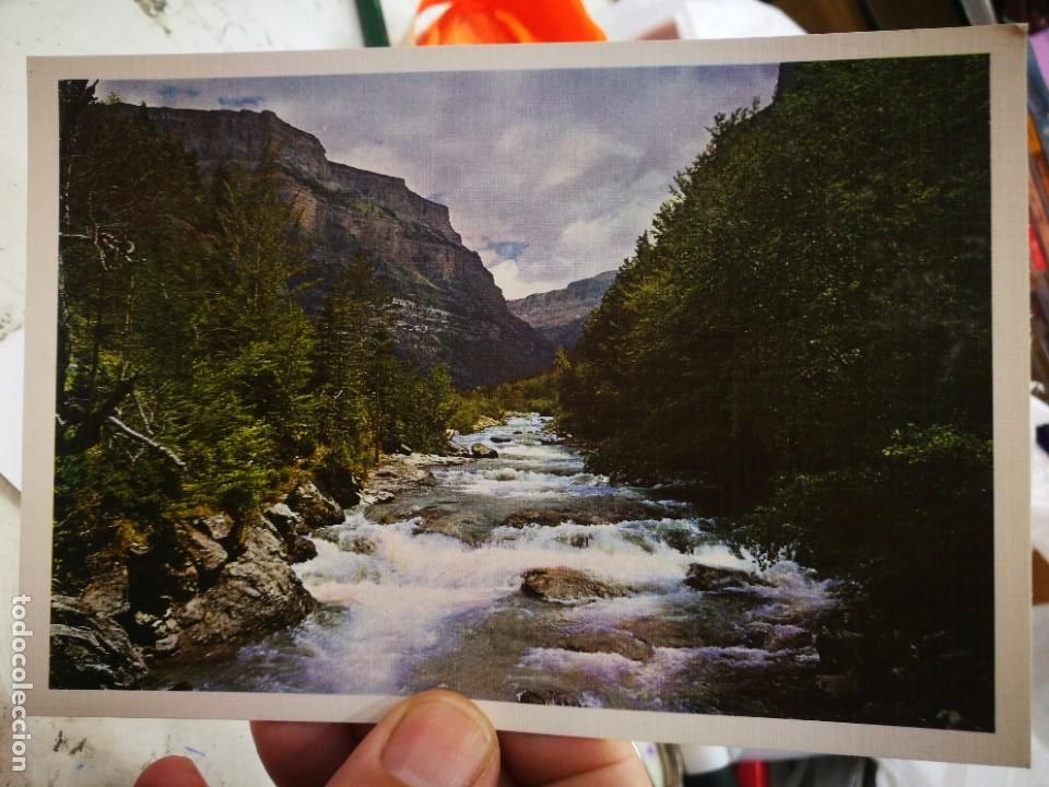 Postales: Postal Parque Nacional de Ordesa Pirineo Aragon&eacute;s R&iacute;o Abrazas desde el Puente de Briet N 42 SICILIA