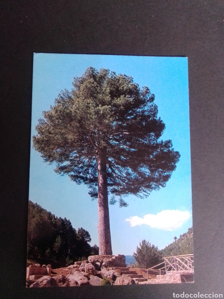 Postales: POSTAL DE LINARES DE MORA. TERUEL. - Foto 1