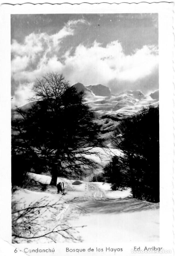 Postkarten: Candanch&uacute; - Bosque de las Hayas - Ed. Arribas n&ordm; 6 - 143x92 mm