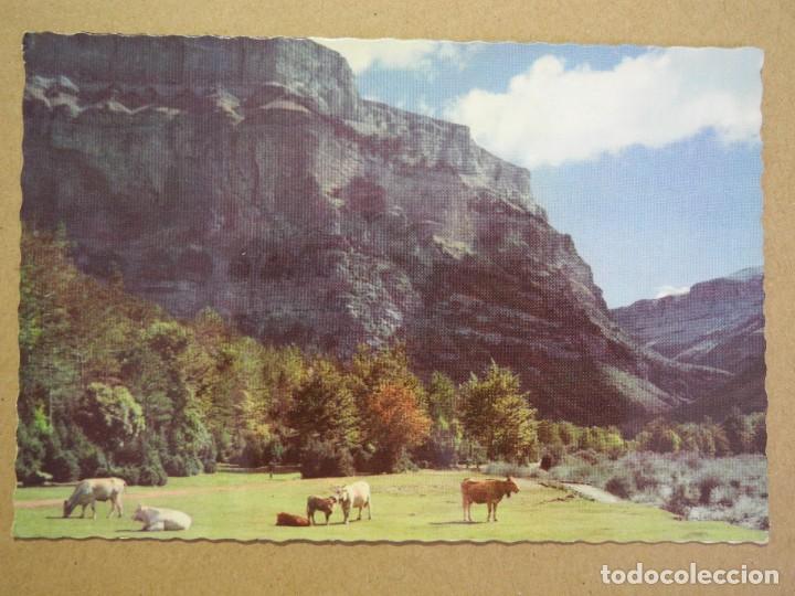 Postales: Parque Nacional de Ordesa. Ed. Garcia Garrabella n. 313 Nueva