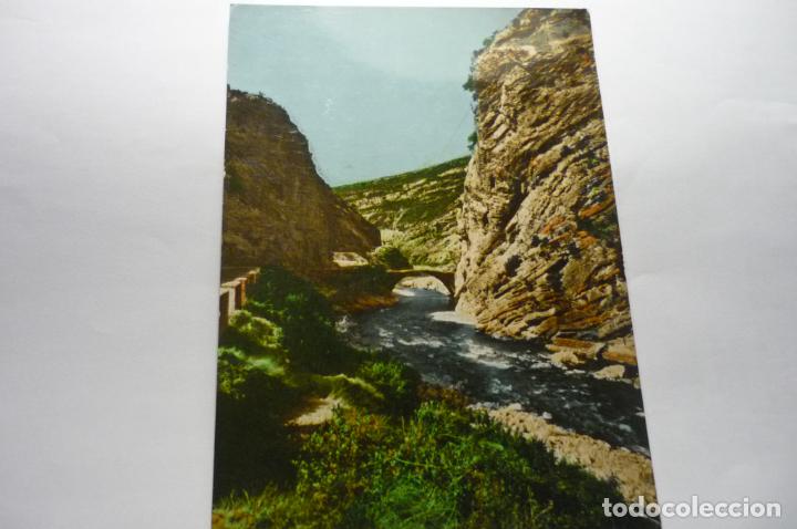 Cartes Postales: postal campo -entre puentes cm