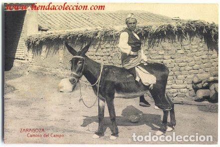 Postales: ZARAGOZA. Camino del Campo - Foto 1