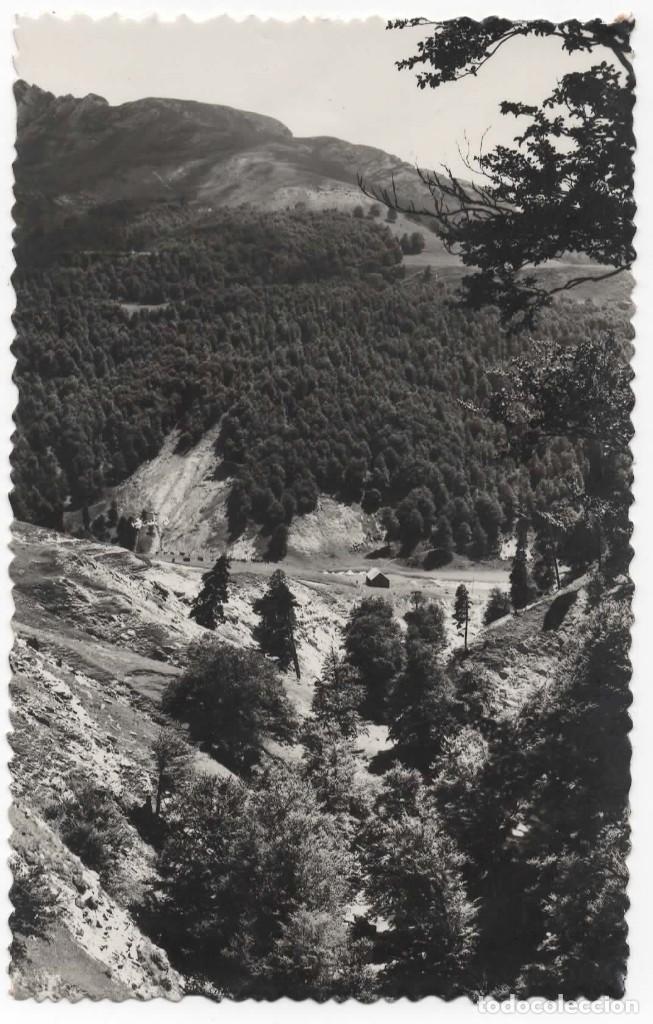 Postcards: POSTAL- PRADERA DE ZURIZA