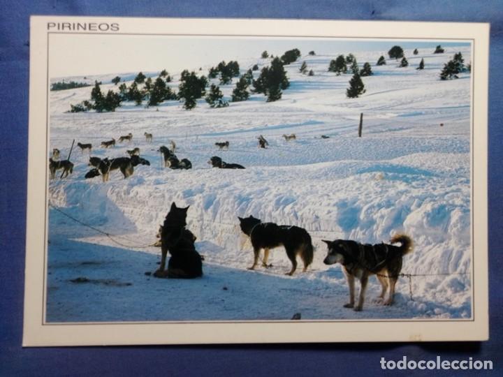 Postales: POSTAL Huesca NO CIRCULADA - Foto 1