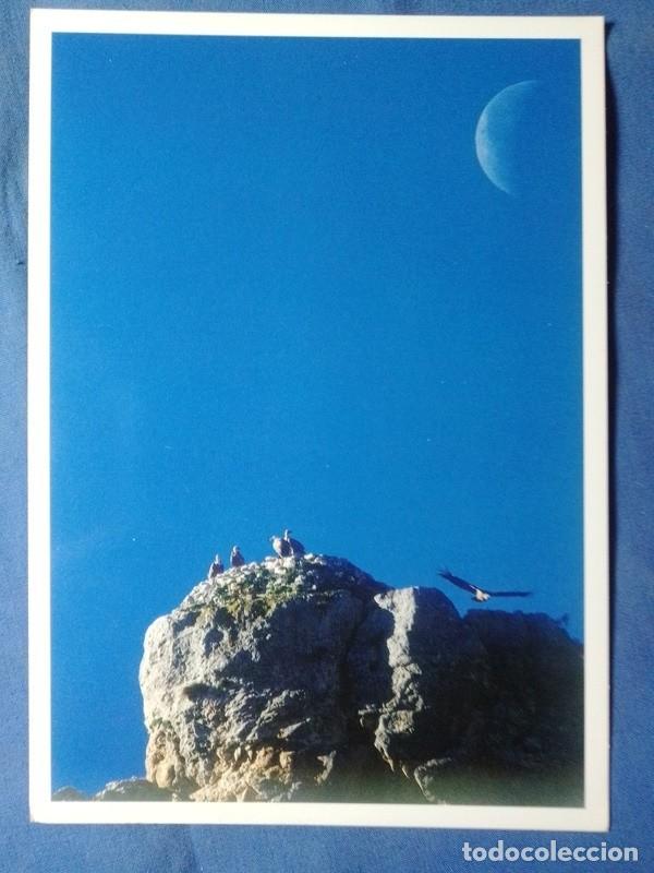 Postales: POSTAL Zaragoza NO CIRCULADA - Foto 1