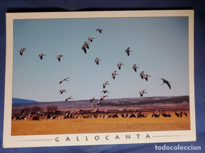 Postales: POSTAL Zaragoza NO CIRCULADA - Foto 1