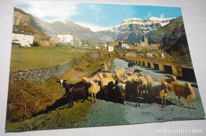 Postales: POSTAL TORLA.-GENERAL Y MONDARRUEGO FONDO