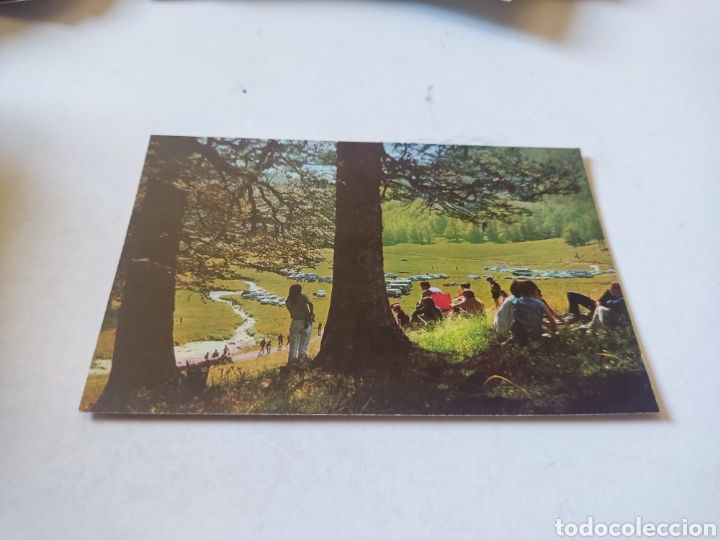 Postales: Postal Anso valle de zuriza - Foto 1