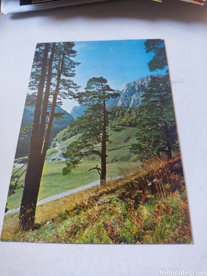 Postales: Postal Anso valle de zuriza - Foto 1