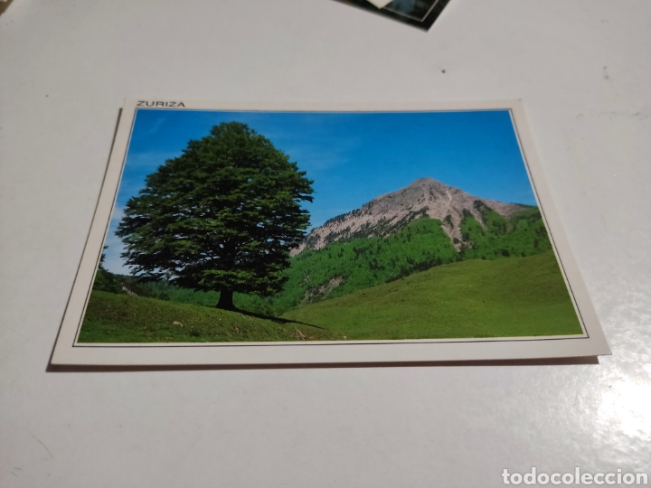 Postales: Postal Anso zuriza - Foto 1
