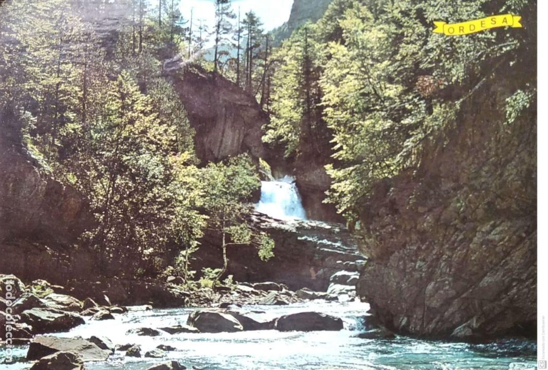 Postales: Valle de Ordesa. 275 R&iacute;o Arazas. E. Arribas. Nueva. Color