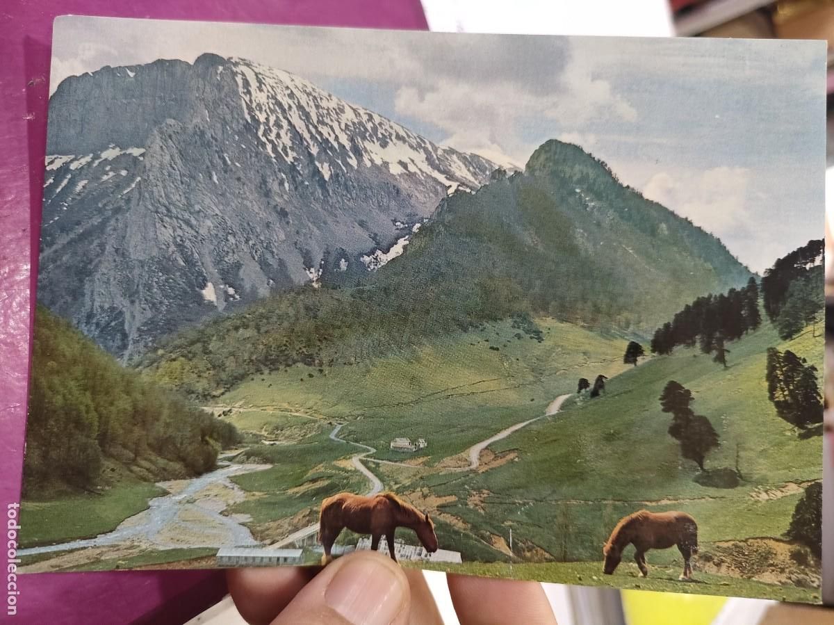 Postales: Postal PIRINEO NAVARRO ARAGONES Zuriza ANSO Isabel Pico Ezcaurre 2042 m. N 558 PE&Ntilde;ARROYA a estado pe