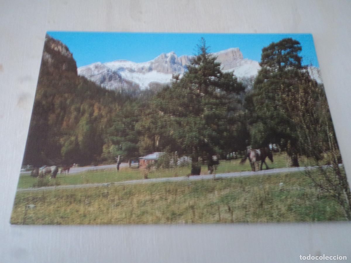 Postkarten: 13 hecho, selva de oza, ed. sicilia