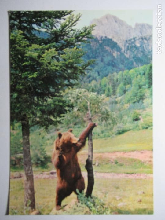 Postales: Hecho - Pirineo Aragon&eacute;s - Foto 1