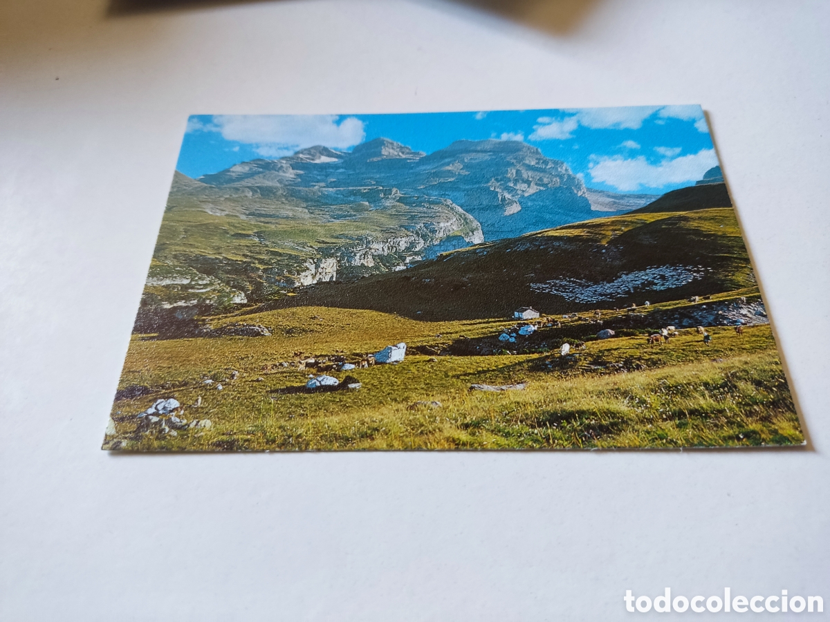 Postales: Postal a&ntilde;isclo parque nacional