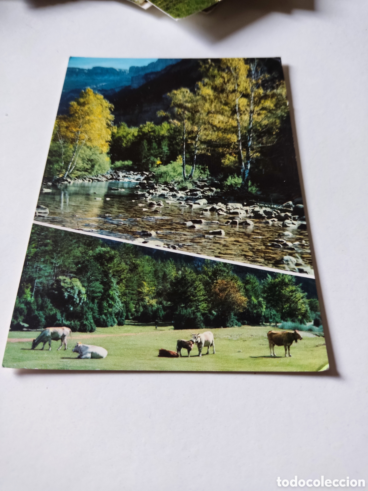Postales: Postal valle de Ordesa - Foto 1