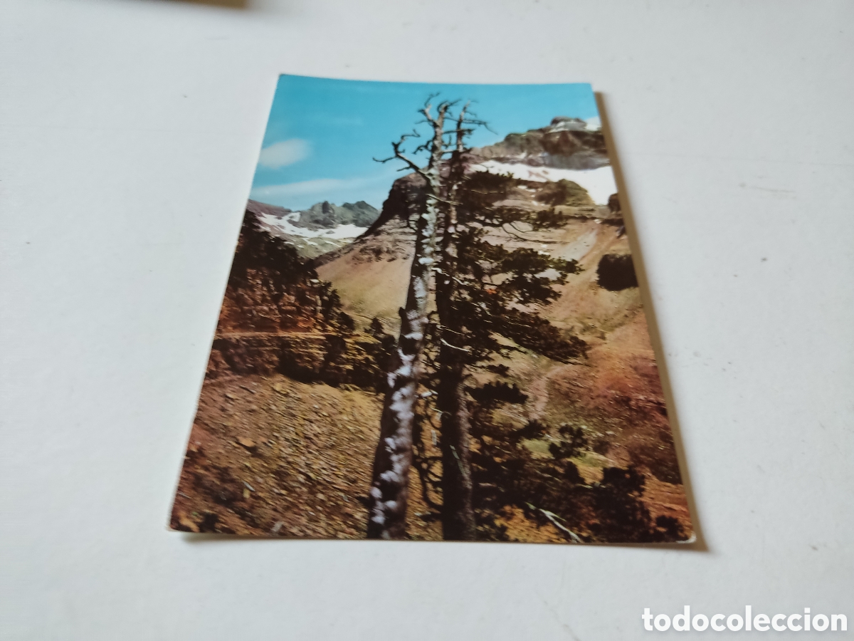 Postales: Postal Canfranc pico collarada - Foto 1