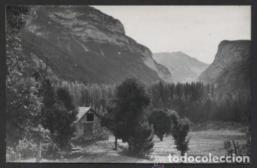 Postales: Huesca. Plan. *La Chopera...* Ed. Sicilia. Nueva. - Foto 1