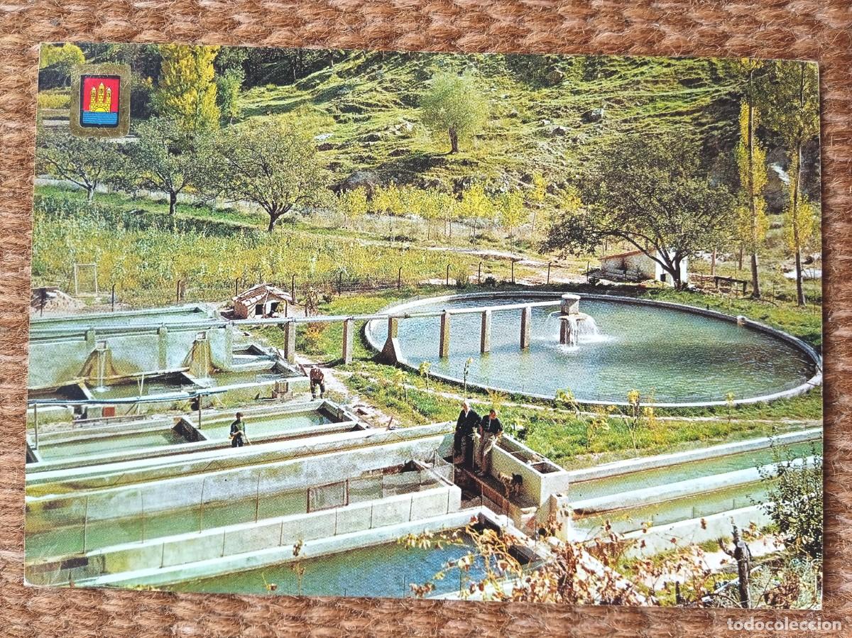 Postales: VILLARLUENGO - TERUEL - COMAS ALDEA - Foto 1