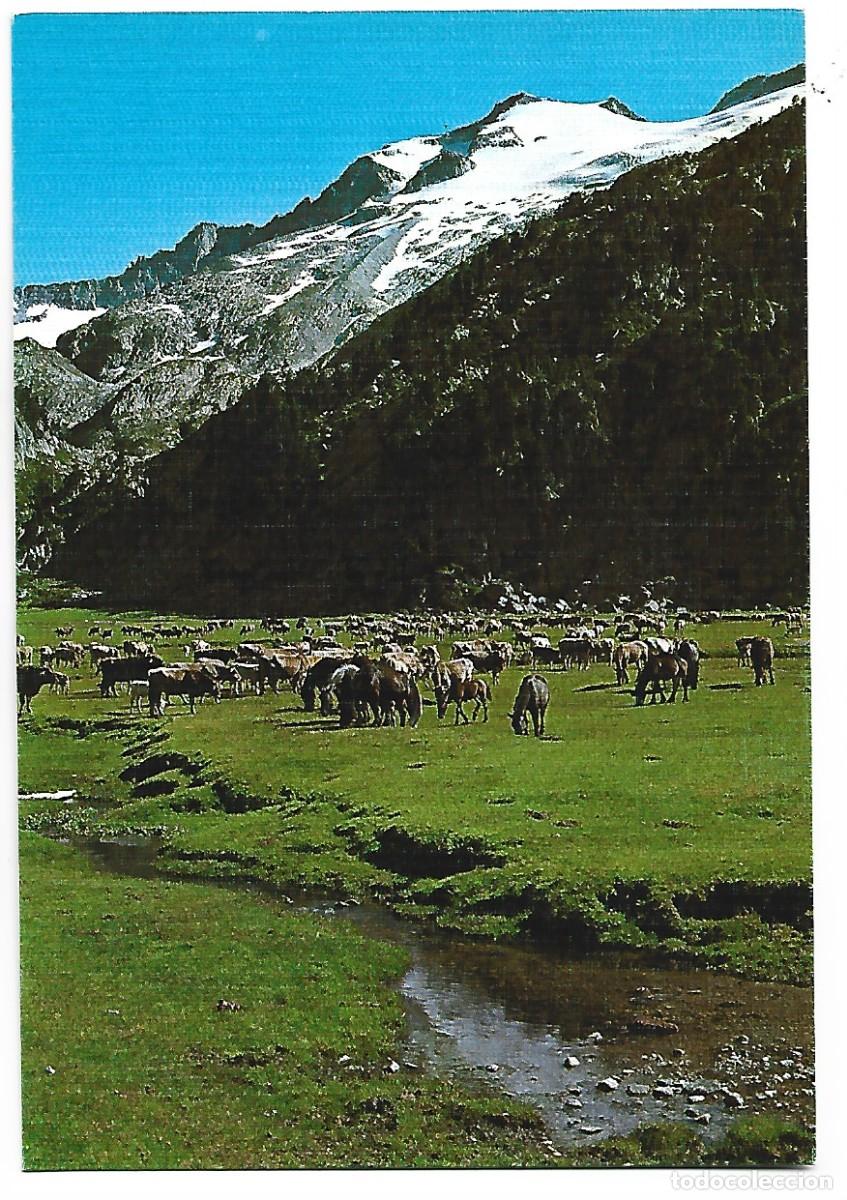 Postales: PLAN DE AIGUAYUT, AL FONDO ANETO.- BENASQUE - Foto 1