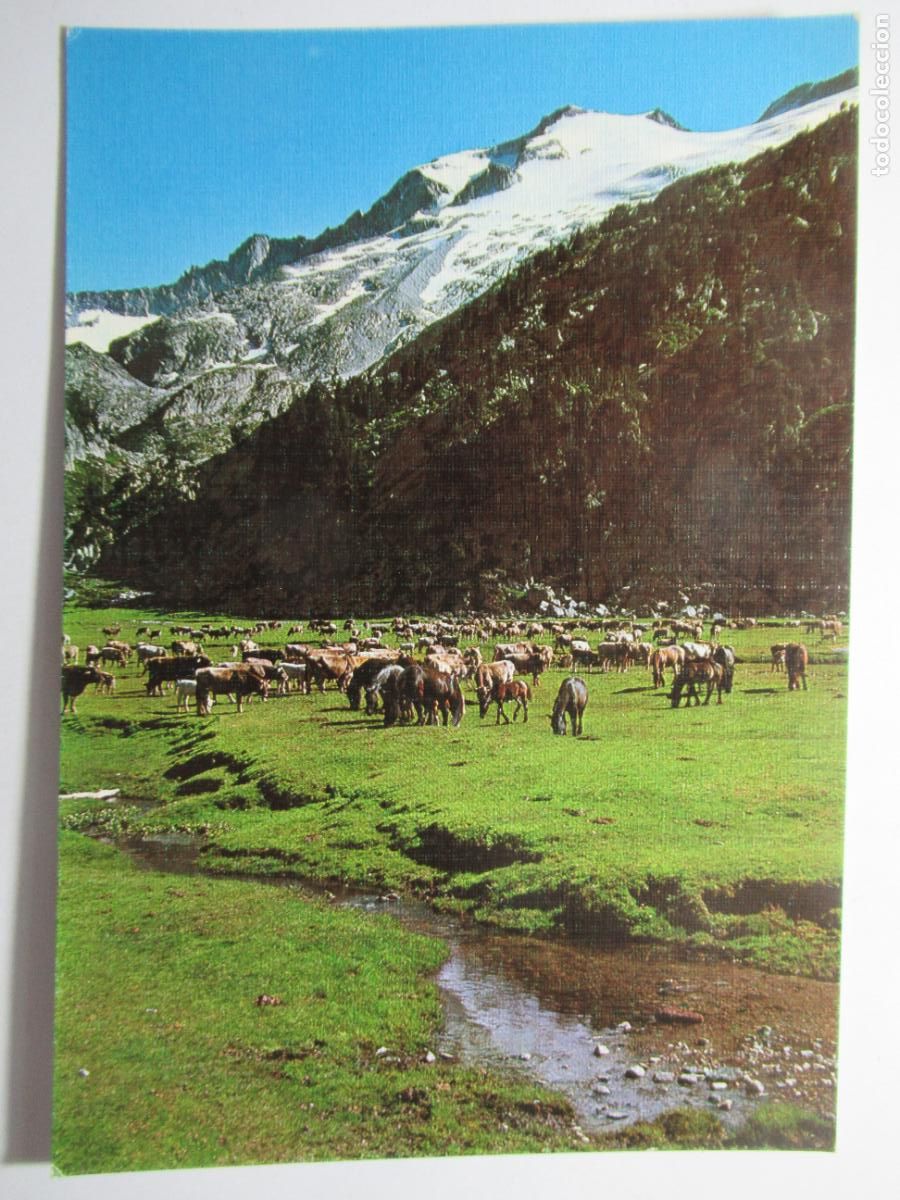 Postales: Benasque (Huesca) - Plan de Aiguayut - Foto 1