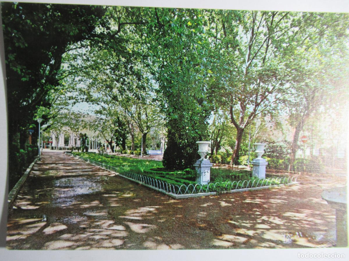 Postales: Huesca - Parque. Paseo central - Foto 1