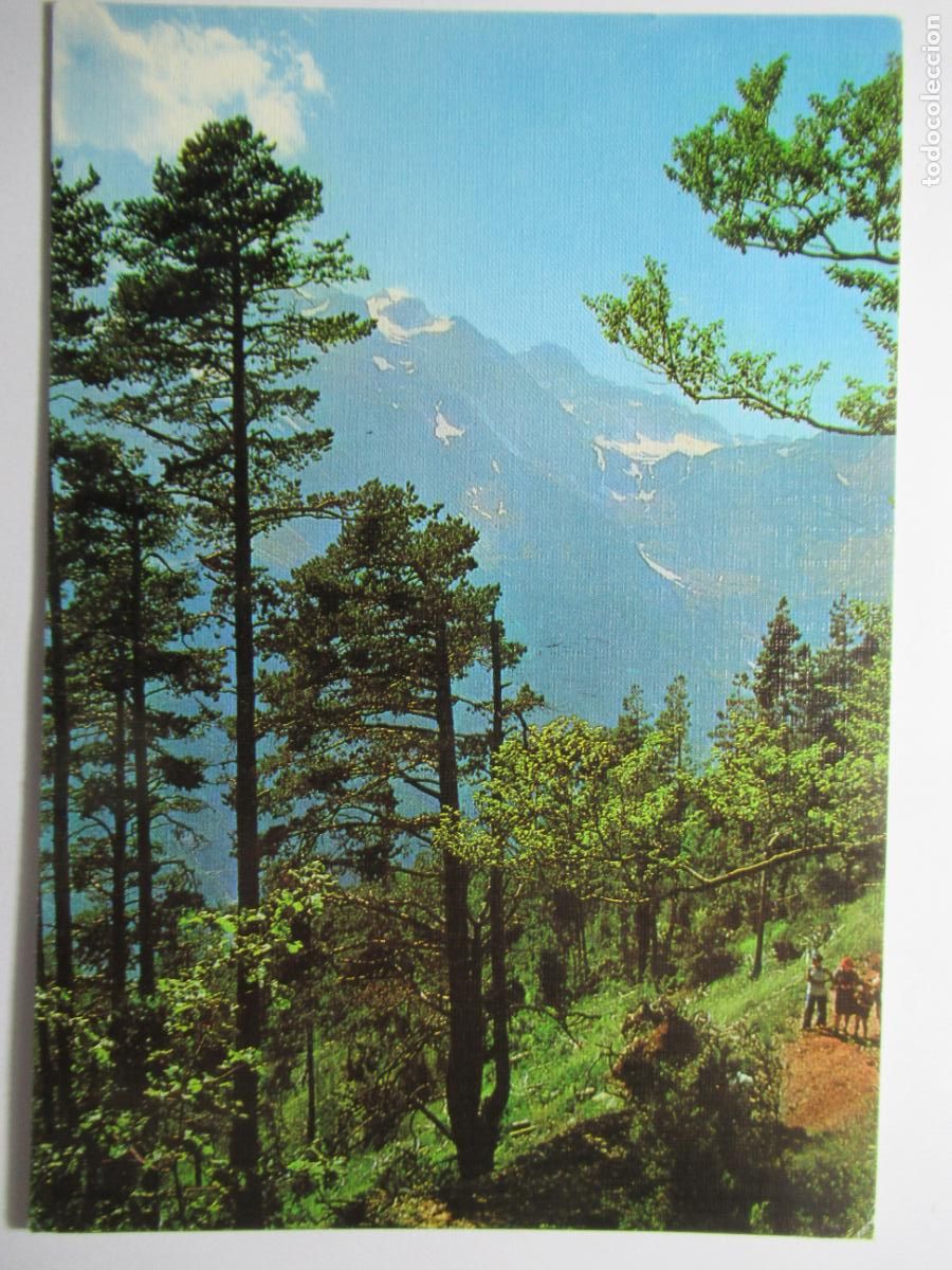 Postales: Bielsa (Huesca) - Valle de Pineta - Foto 1