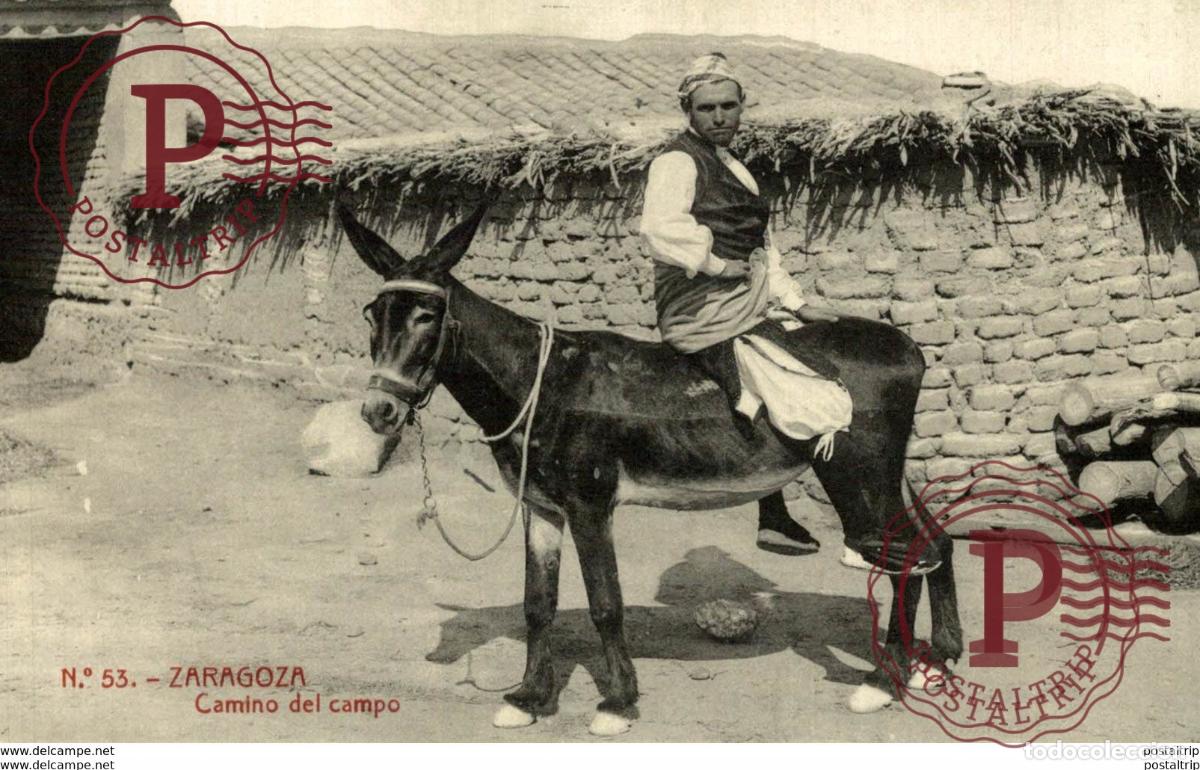 Postales: ZARAGOZA. - CAMINO DEL CAMPO - Foto 1