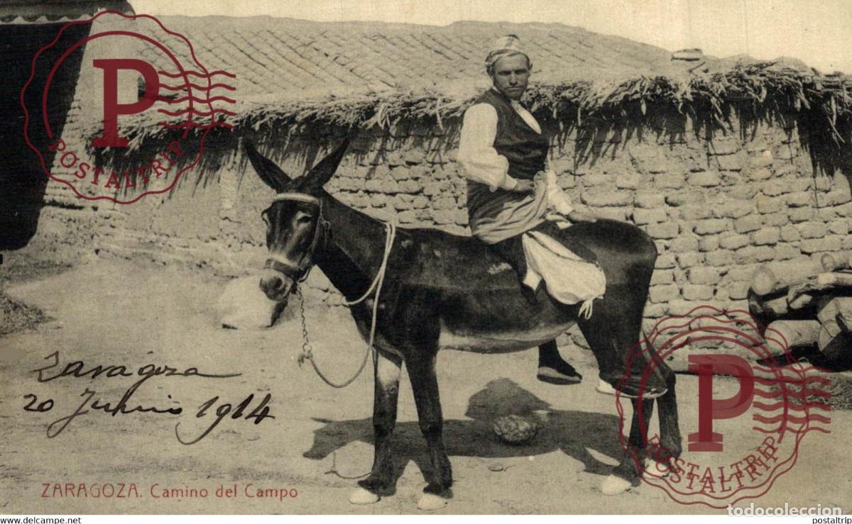 Postales: ZARAGOZA. CAMINO DEL CAMPO. - Foto 1