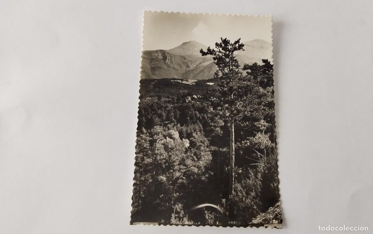 Postales: CASTEJON DE SOS , POSTAL ANTIGUA , BLANCO Y NEGRO - Foto 1