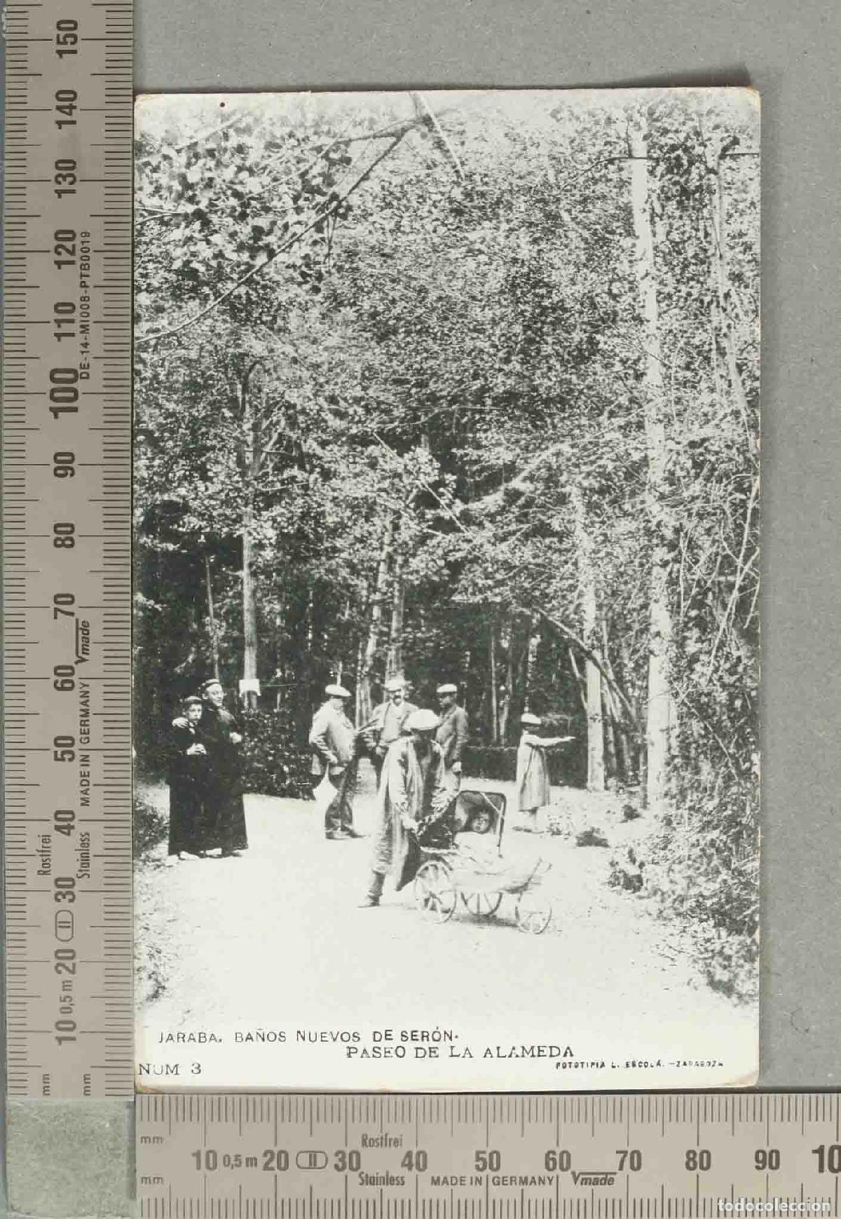 Postales: POSTAL. Jaraba - Ba&ntilde;os Nuevos de Ser&oacute;n - Paseo de la Alameda