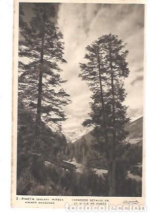 Postales: ANTIGUA POSTAL 3 PINETA BIELSA BIELSA HUESCA PIRINEO ARAGONES FRONDOSO DETALLE EN LE VALLE DE PINETA