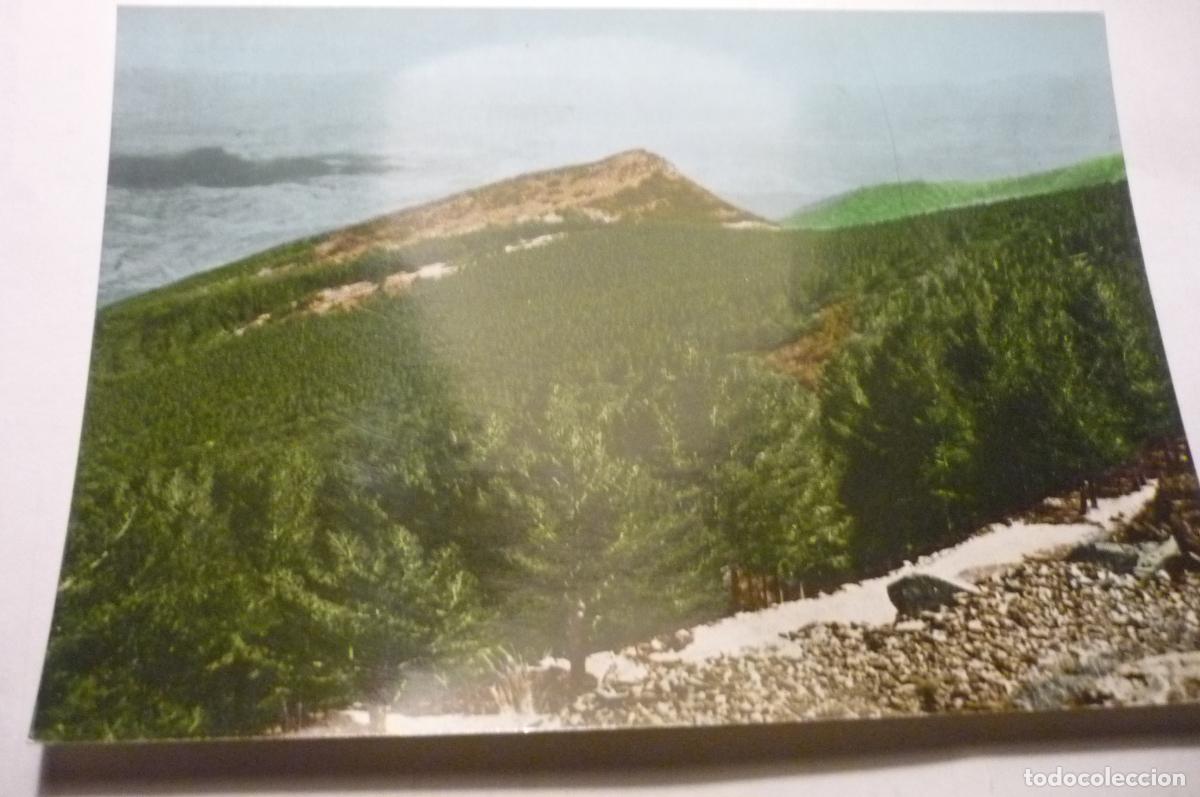 Postales: postal tarazona,.moncayo cm - Foto 1