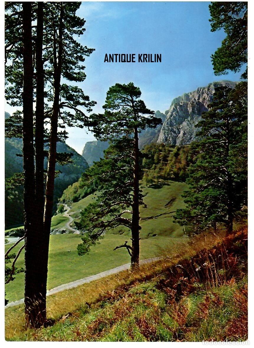 Postales: PIRINEO ARAGONES / ANSO N&ordm; 6 ENTRADA VALLE DE ZURIZA / EDI. SICILIA / SIN FRANQUEAR