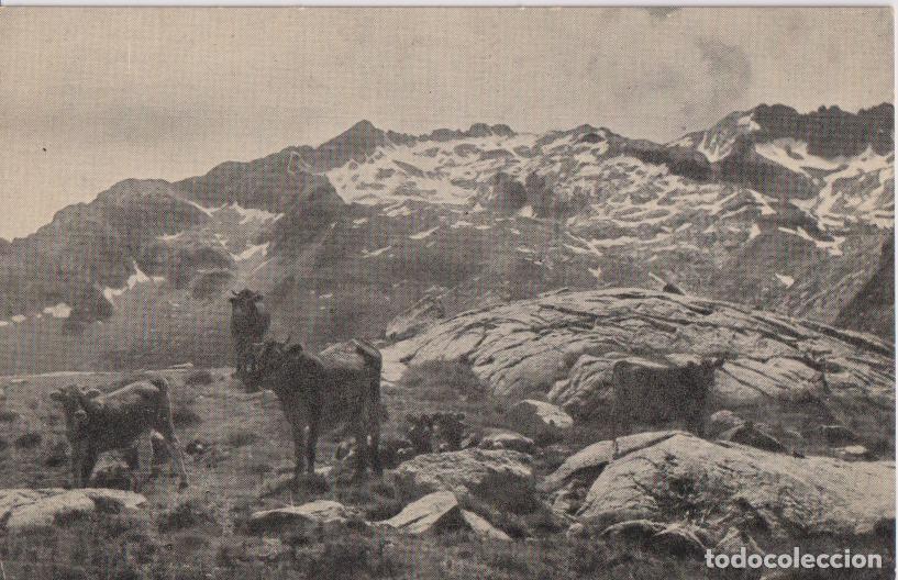 Postales: EMPRESA NACIONAL HIDROEL&Eacute;CTRICA DEL RIBAGORZANA, EL COMOLOFORMO &ndash; S/C