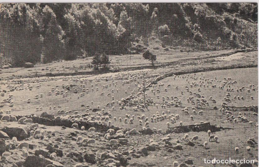 Postales: EMPRESA NACIONAL HIDROEL&Eacute;CTRICA DEL RIBAGORZANA, VALLE DEL NOGUERA &ndash; S/C
