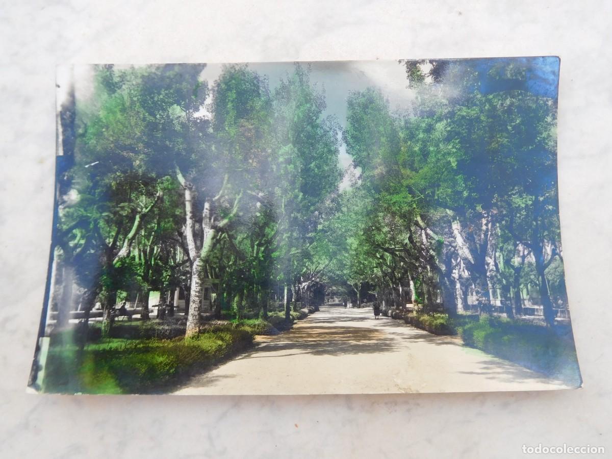 Postales: Postal de Jaca. El paseo