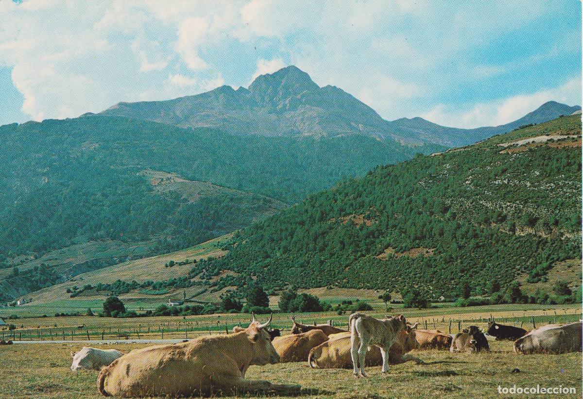 Postales: ISABA, VALLE DEL RONCAL, PICO DE CARCHELA &ndash; FOTO PE&Ntilde;ARROYA N&ordm;2 &ndash; S/C