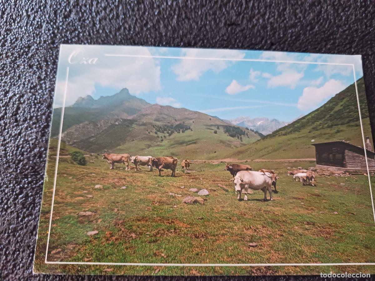 Postales: 7 hecho, valle de oza, al fondo chipeta, ed. ferka