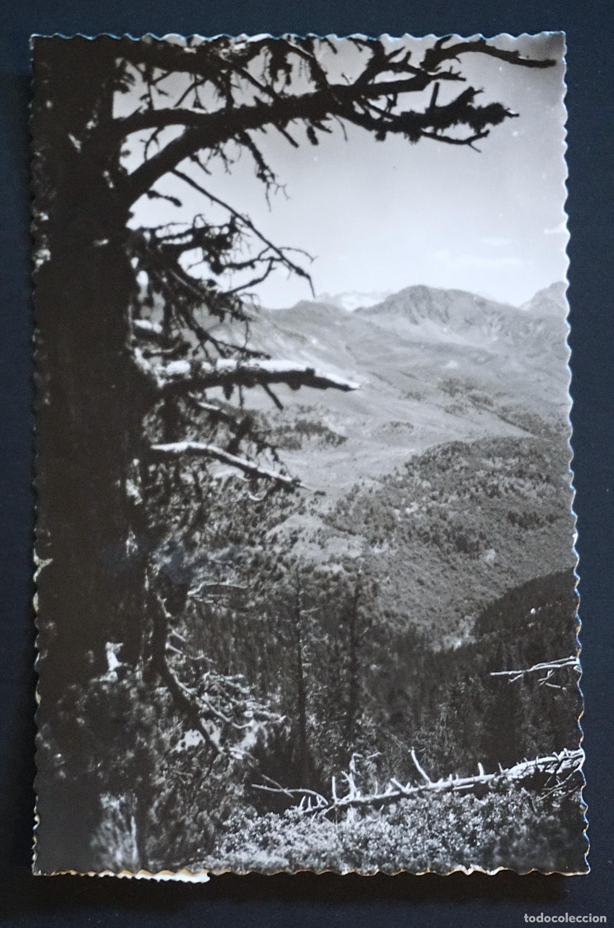Postales: Benasque, Valle de Est&ograve;s y macizo de Los Malditos, postal circulada con sello de 1959