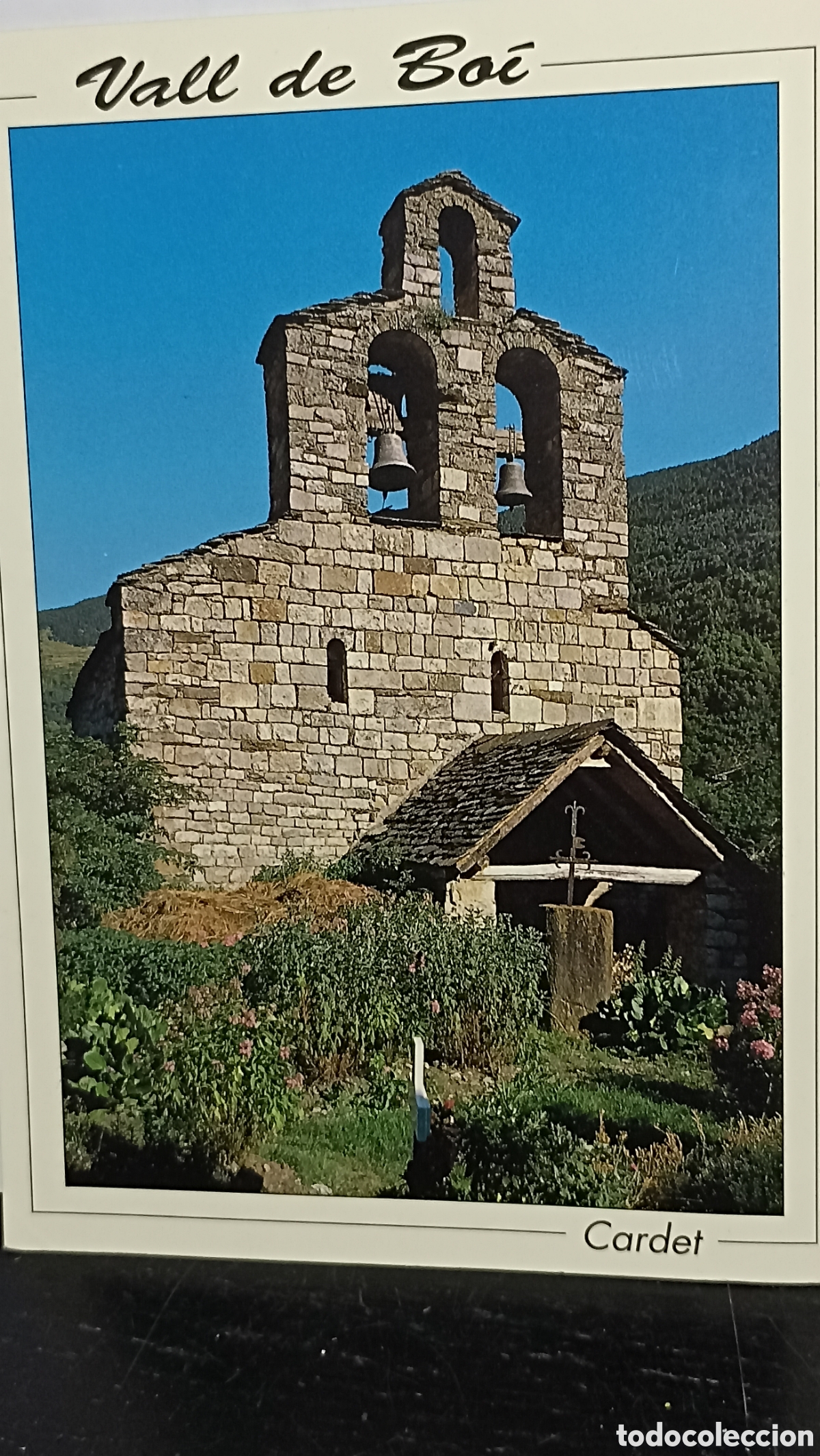 Postales: MINT!!!Pirineo central alta Ribagorza cardet
